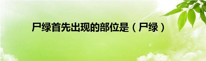 尸绿首先出现的部位是(尸绿)