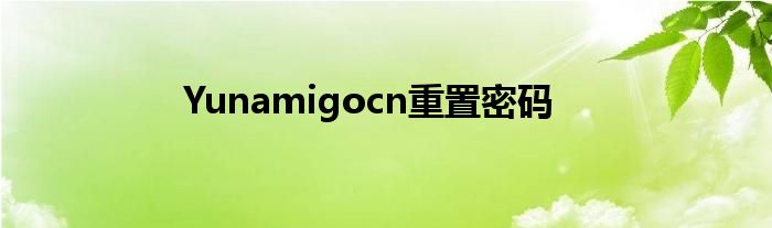 Yunamigocn重置密码