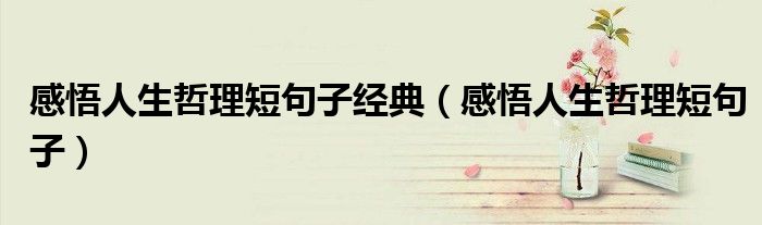 感悟人生哲理短句子经典(感悟人生哲理短句子)