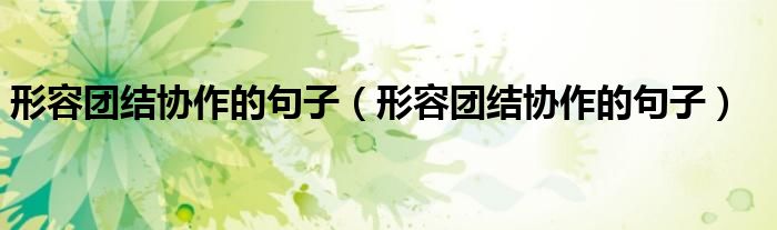 形容团结协作的句子(形容团结协作的句子)