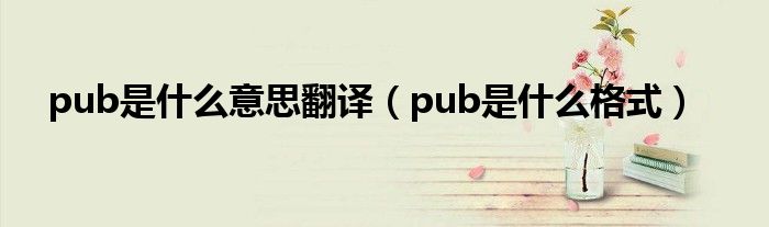 pub是什么意思翻译(pub是什么格式)