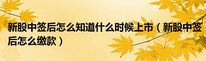 新股中签后怎么知道什么时候上市(新股中签后怎么缴款)
