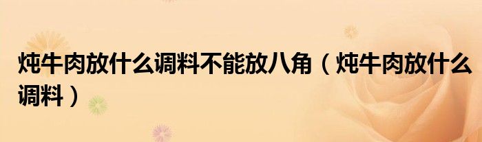 炖牛肉放什么调料不能放八角(炖牛肉放什么调料)