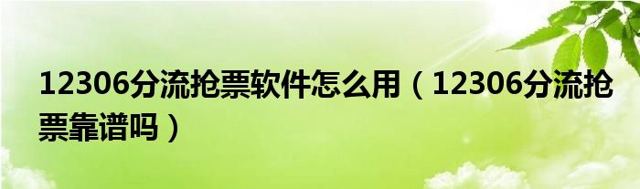 12306分流抢票软件怎么用(12306分流抢票靠谱吗)