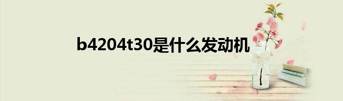b4204t30是什么发动机