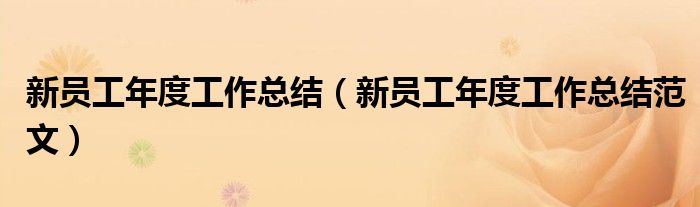 新员工年度工作总结(新员工年度工作总结范文)