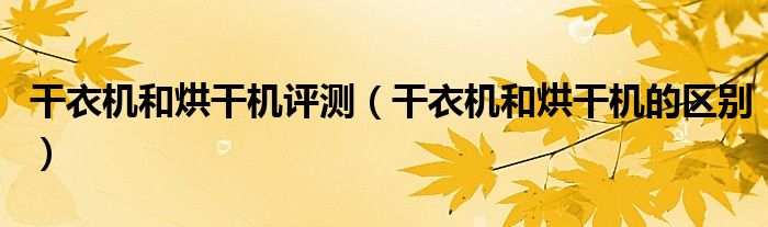 干衣机和烘干机评测(干衣机和烘干机的区别)