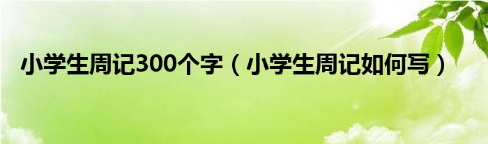 小学生周记300个字(小学生周记如何写)