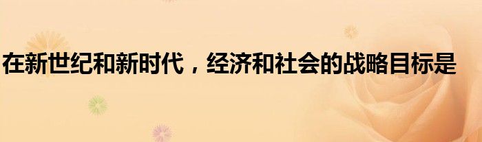 在新世纪和新时代,经济和社会的战略目标是