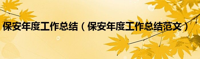 保安年度工作总结(保安年度工作总结范文)