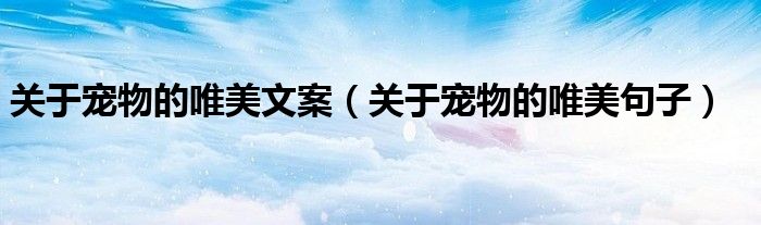 关于宠物的唯美文案(关于宠物的唯美句子)