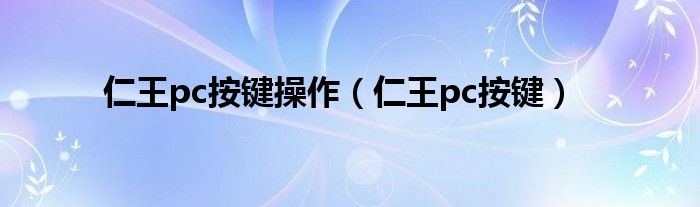 仁王pc按键操作(仁王pc按键)