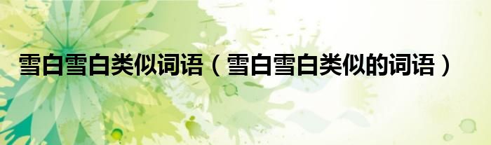 雪白雪白类似词语(雪白雪白类似的词语)