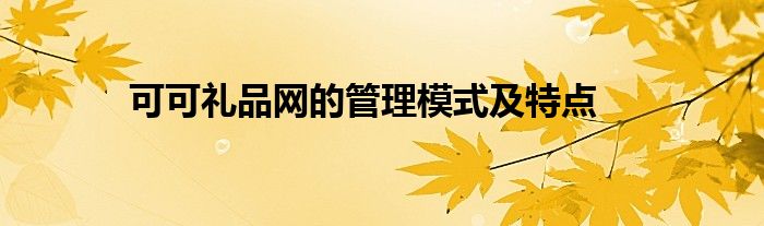 可可礼品网的管理模式及特点
