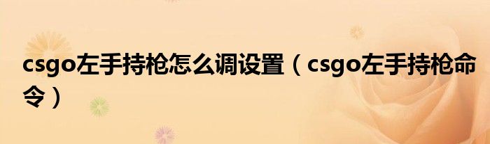 csgo左手持枪怎么调设置(csgo左手持枪命令)