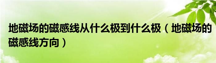 地磁场的磁感线从什么极到什么极(地磁场的磁感线方向)
