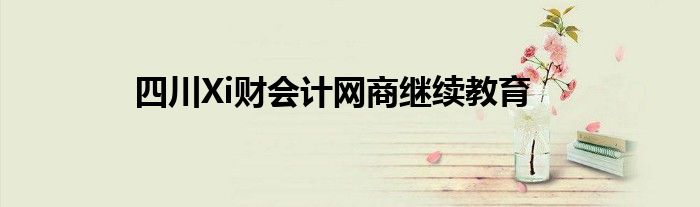四川Xi财会计网商继续教育