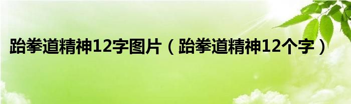 跆拳道精神12字图片(跆拳道精神12个字)