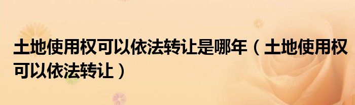 土地使用权可以依法转让是哪年(土地使用权可以依法转让)