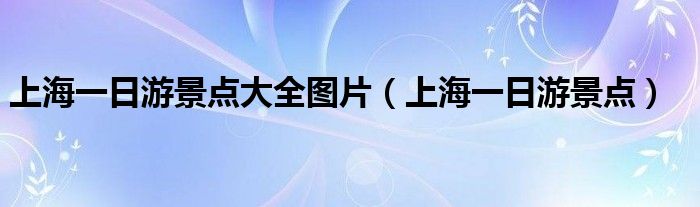 上海一日游景点大全图片(上海一日游景点)