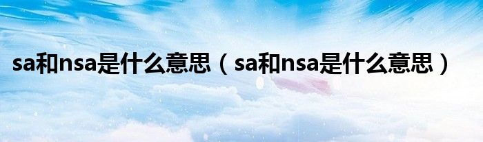 sa和nsa是什么意思(sa和nsa是什么意思)