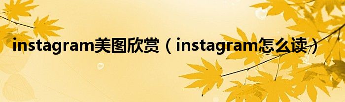 instagram美图欣赏(instagram怎么读)