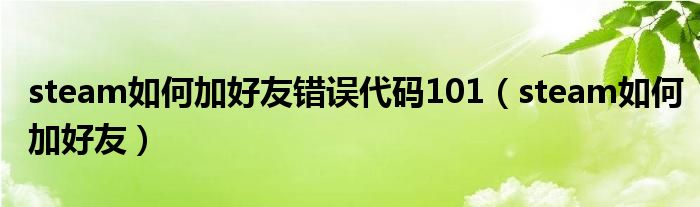 steam如何加好友错误代码101(steam如何加好友)