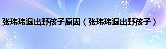 张玮玮退出野孩子原因(张玮玮退出野孩子)
