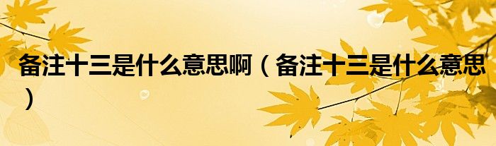 备注十三是什么意思啊(备注十三是什么意思)