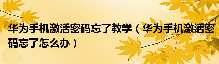 华为手机激活密码忘了教学(华为手机激活密码忘了怎么办)