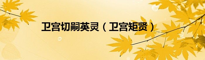 卫宫切嗣英灵（卫宫矩贤）