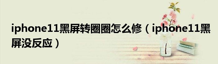 iphone11黑屏转圈圈怎么修(iphone11黑屏没反应)