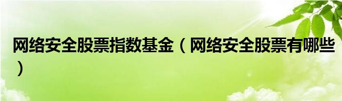 网络安全股票指数基金(网络安全股票有哪些)