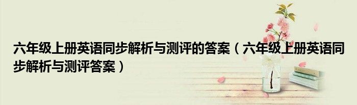六年级上册英语同步解析与测评的答案(六年级上册英语同步解析与测评答案)