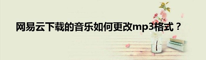 网易云下载的音乐如何更改mp3格式?