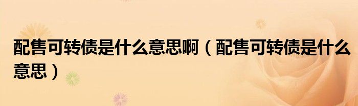 配售可转债是什么意思啊(配售可转债是什么意思)