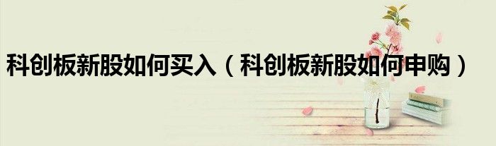 科创板新股如何买入(科创板新股如何申购)