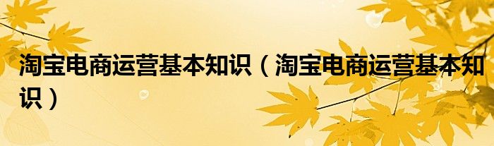 淘宝电商运营基本知识(淘宝电商运营基本知识)