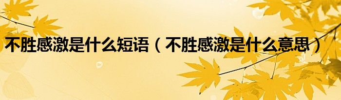 不胜感激是什么短语(不胜感激是什么意思)