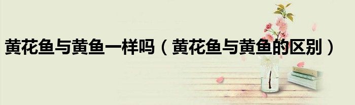 黄花鱼与黄鱼一样吗（黄花鱼与黄鱼的区别）