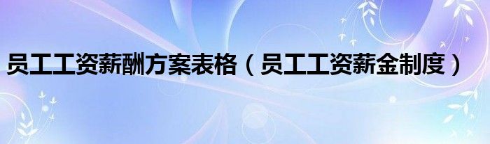 员工工资薪酬方案表格(员工工资薪金制度)