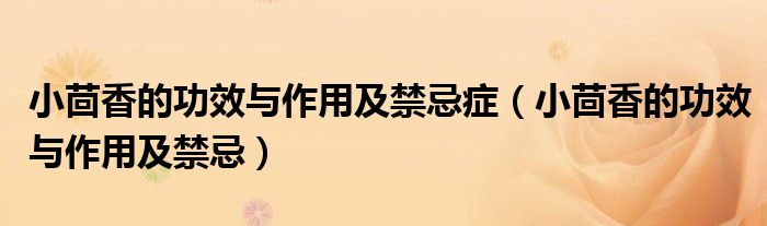 小茴香的功效与作用及禁忌症(小茴香的功效与作用及禁忌)