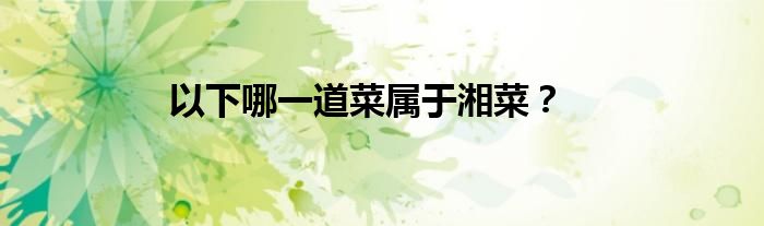 以下哪一道菜属于湘菜？