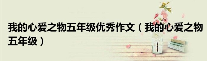 我的心爱之物五年级优秀作文(我的心爱之物五年级)