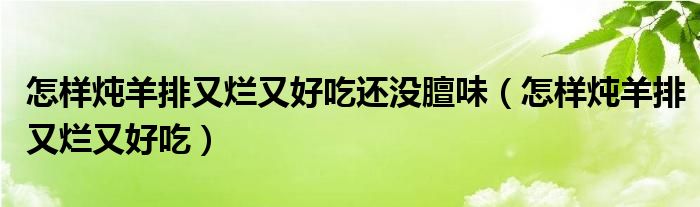 怎样炖羊排又烂又好吃还没膻味(怎样炖羊排又烂又好吃)
