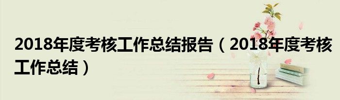 2018年度考核工作总结报告(2018年度考核工作总结)