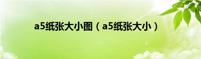 a5纸张大小图(a5纸张大小)