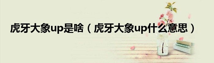 虎牙大象up是啥(虎牙大象up什么意思)