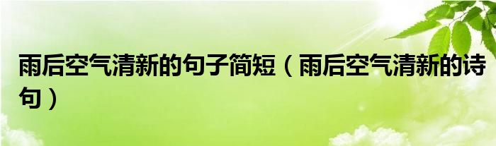 雨后空气清新的句子简短(雨后空气清新的诗句)