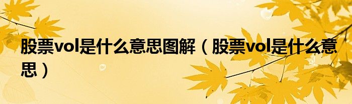 股票vol是什么意思图解(股票vol是什么意思)
